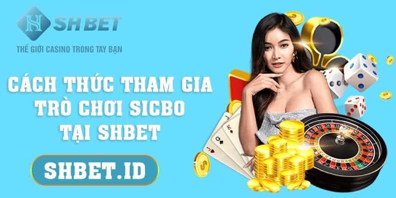 Cách thức tham gia trò chơi Sicbo tại SHBET chi tiết nhất 19 SHBET_Cách thức tham gia trò chơi Sicbo tại SHBET chi tiết nhất